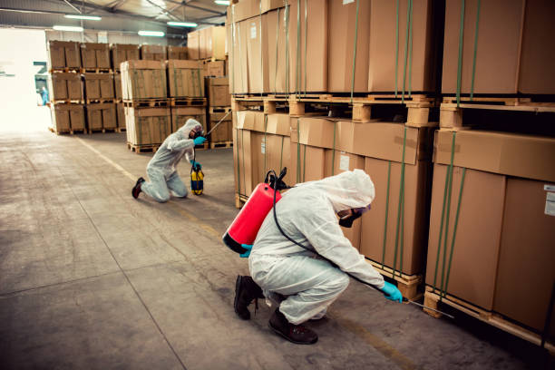 Best Residential Pest Control  in Kingstree, SC