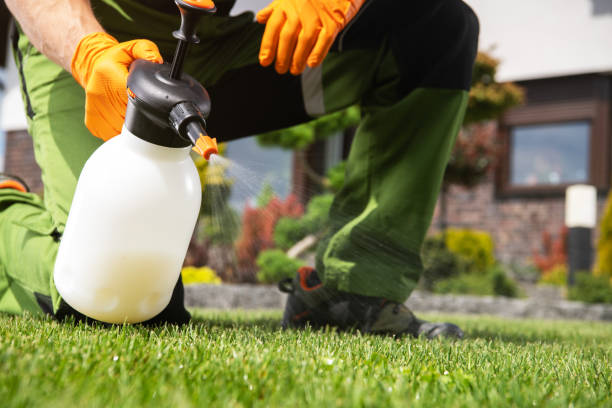 Best Wasp Removal Services  in Kingstree, SC
