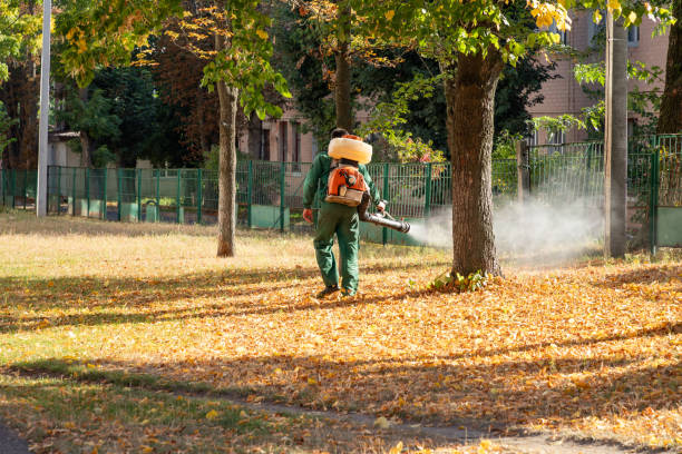 Best Pest Prevention Services  in Kingstree, SC