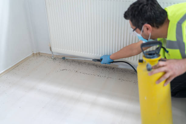 Best Pest Removal Services  in Kingstree, SC