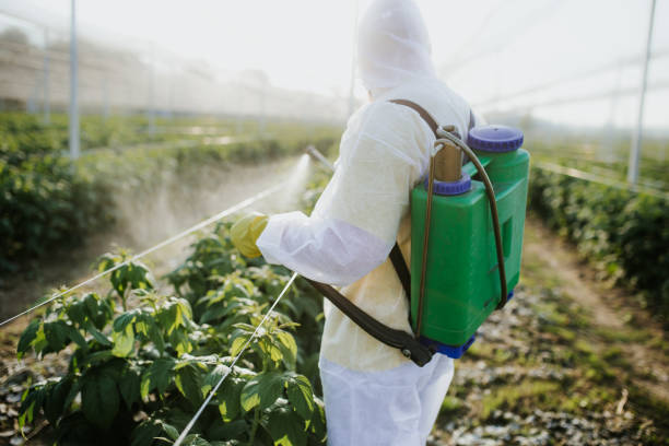 Pest Control Cost in Kingstree, SC
